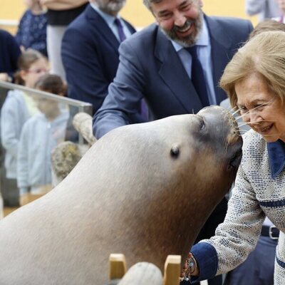 La Reina Sofía con un león marino en su visita al Zoo de Madrid