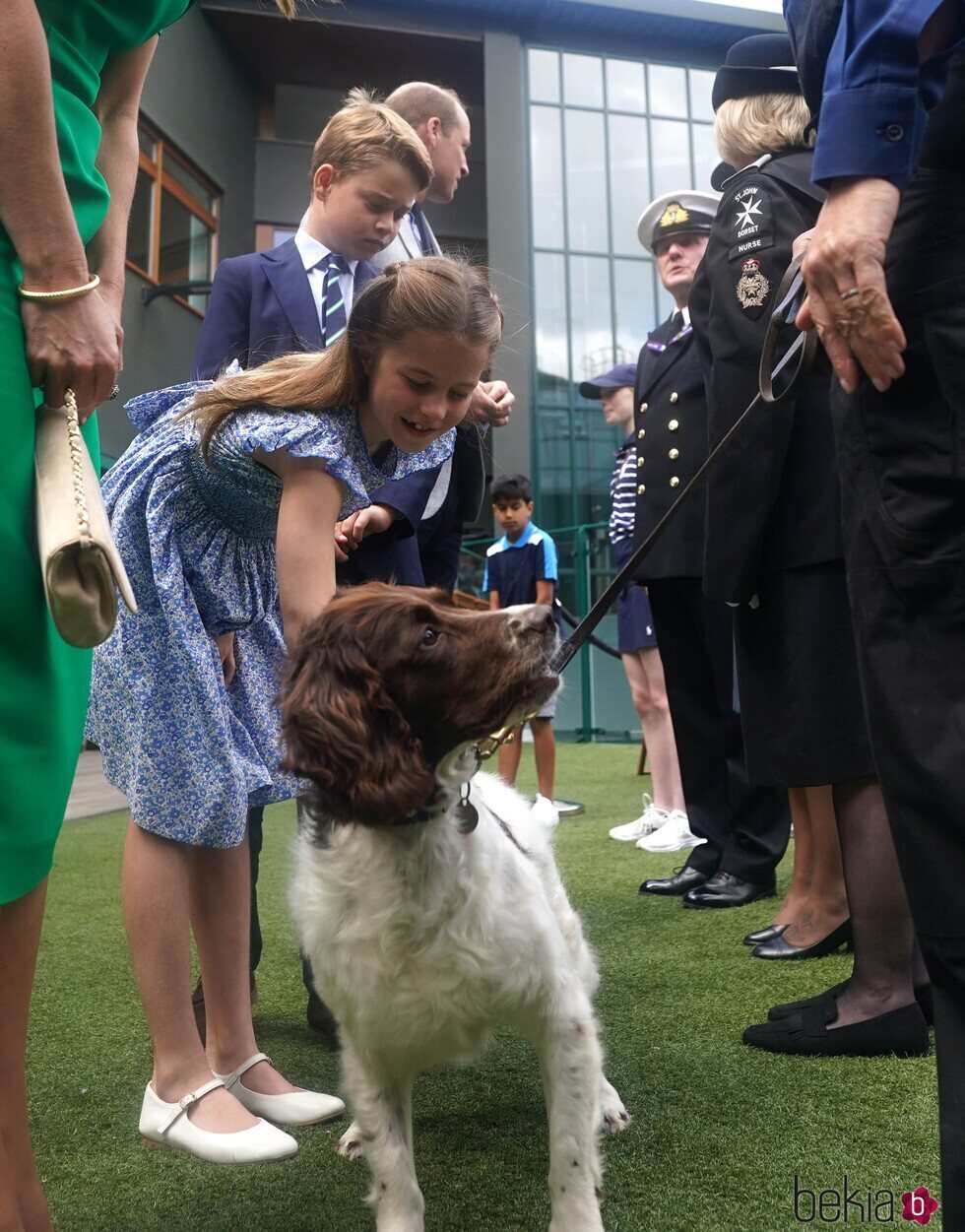 La Princesa Charlotte acariciando a una perra en la final de Wimbledon 2023
