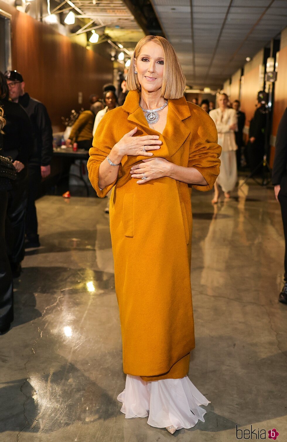 Céline Dion posa de lo más elegante en los Grammy 2024