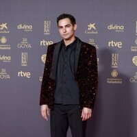 Ricard Balada, en la alfombra roja de los Premios Goya 2024