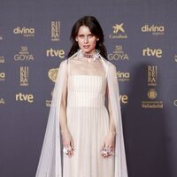 Manuela Vellés, en la alfombra roja de los Premios Goya 2024