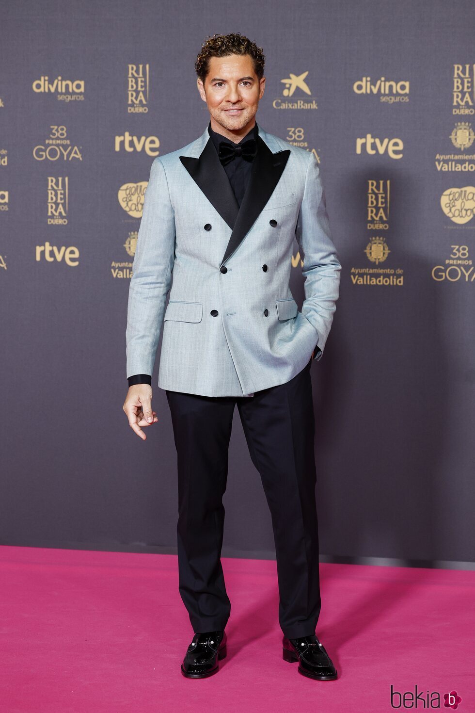 David Bisbal, en la alfombra roja de los Premios Goya 2024