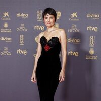Elena Anaya, en la alfombra roja de los Premios Goya 2024