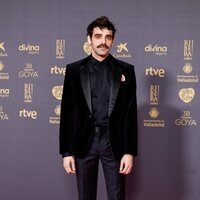 David Verdaguer, en la alfombra roja de los Premios Goya 2024