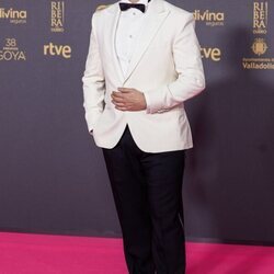Juan Antonio Bayona, en la alfombra roja de los Premios Goya 2024
