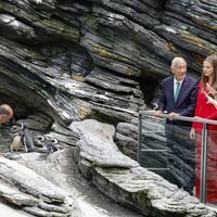 La Princesa Leonor viendo pingüinos en el Oceanario de Lisboa en su primer viaje oficial a Portugal