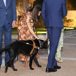 La Reina Letizia muy cariñosa con el perro guía de un invitado