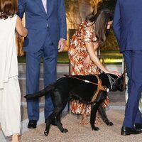 La Reina Letizia muy cariñosa con el perro guía de un invitado