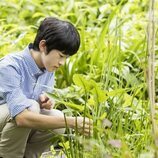 Hisahito de Japón observando el jardín de su residencia en su 18 cumpleaños