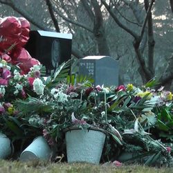Tumba de Whitney Houston cubierta por completo de flores