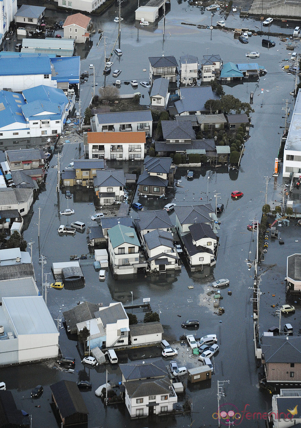 Casas inundadas por el tsunami de Japón