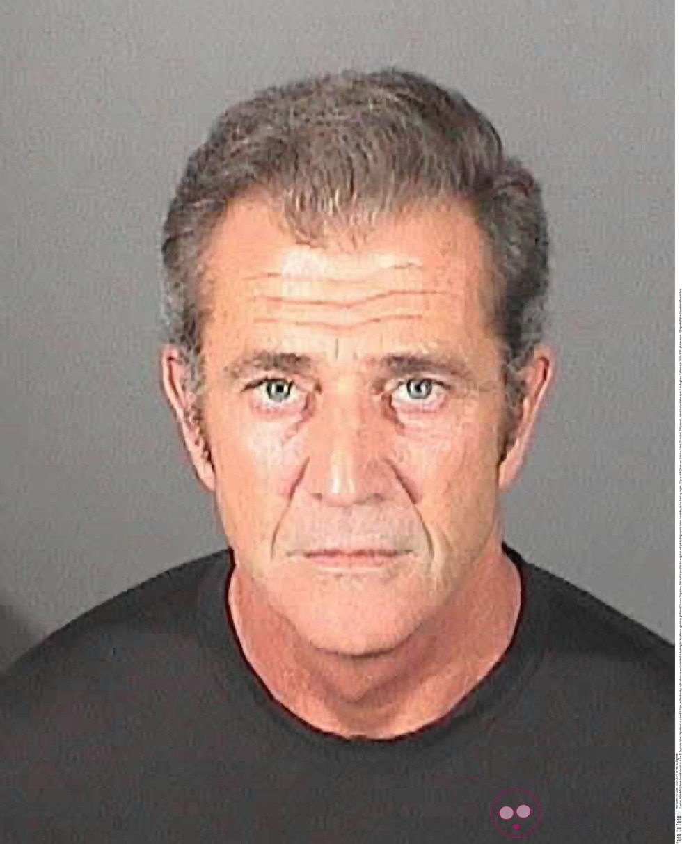 Ficha policial de Mel Gibson tras su arresto