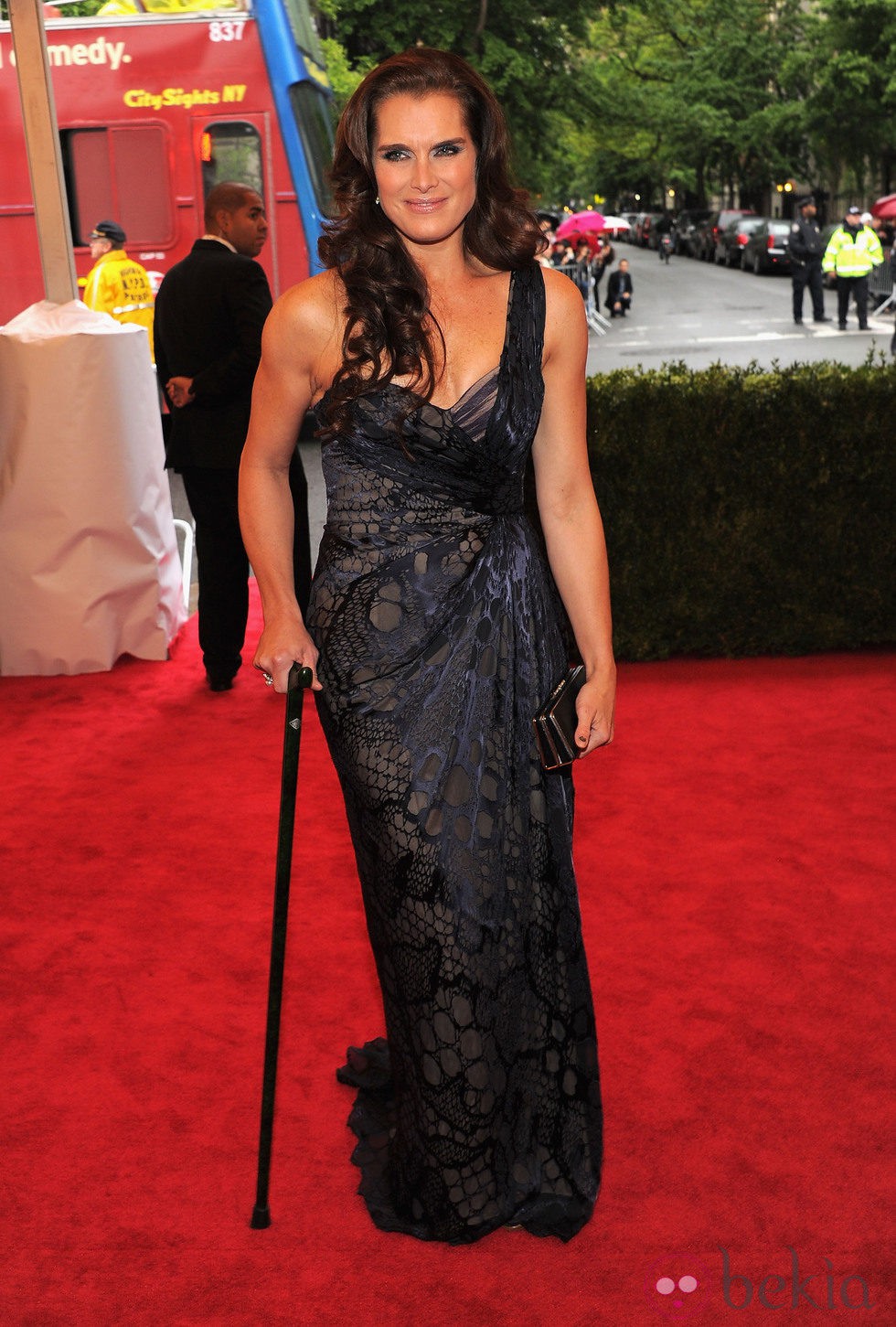 Brooke Shields en la alfombra roja de la Gala del MET 2012
