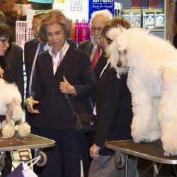 La Reina Sofía con unos perros durante su visita a la Feria del animal de compañía