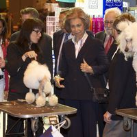 La Reina Sofía con unos perros durante su visita a la Feria del animal de compañía