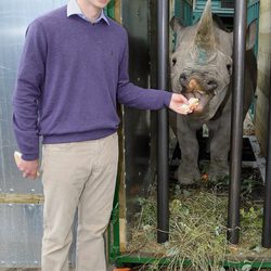 El Príncipe Guillermo con un rinoceronte en Port Lympne Wild Animal Park