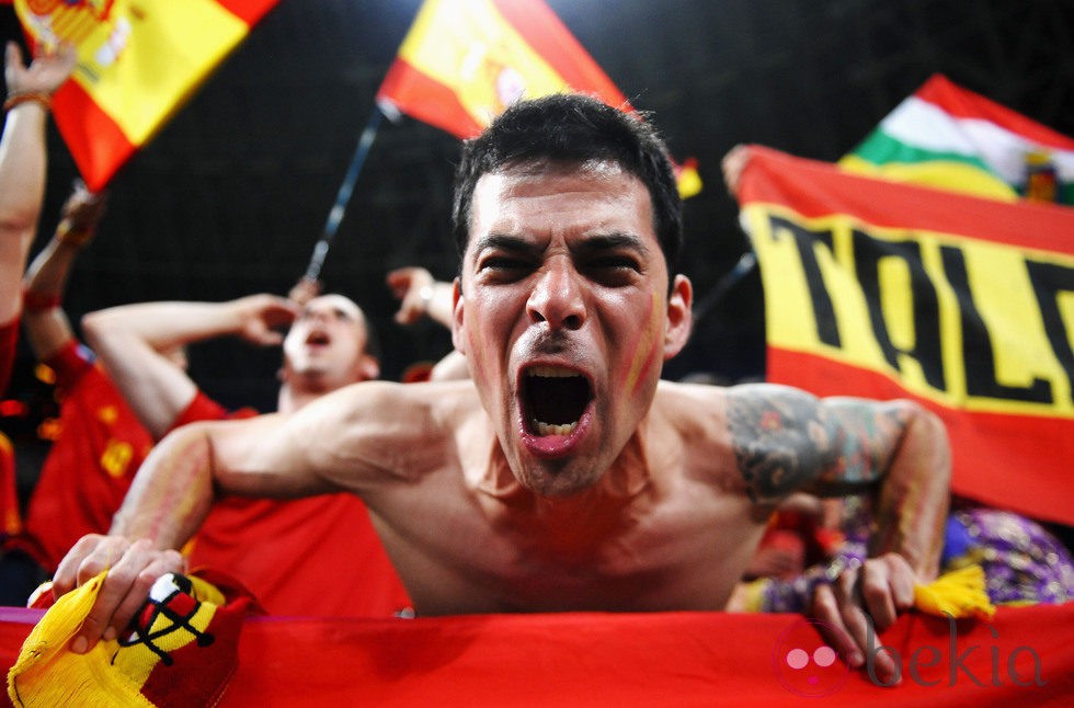 Un fan español anima a La Roja durante el España - Francia