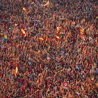 Marea humana celebrando la victoria de 'La Roja' en la Eurocopa 2012 en Cibeles