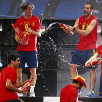 Javi Martínez, Torres, Negredo, Silva y Jordi Alba celebran con cerveza la Eurocopa 2012