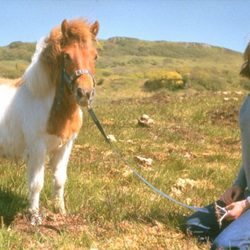 Una joven Lady Di con un poni en 1974