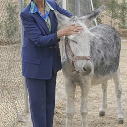 La Reina Sofía con un burro durante su visita a un centro de adopción de animales abandonados