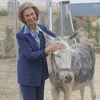 La Reina Sofía con un burro durante su visita a un centro de adopción de animales abandonados