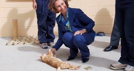 La Reina Sofía juega con un gato durante su visita a un centro de adopción de animales abandonados