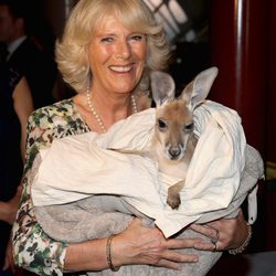 La Duquesa de Cornualles con un canguro en Australia