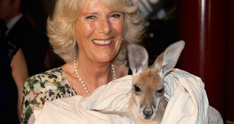 La Duquesa de Cornualles con un canguro en Australia