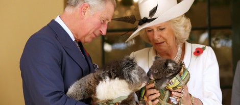 El Príncipe de Gales y la Duquesa de Cornualles sostienen koalas en Australia