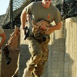 El Príncipe Harry corriendo en la base británica en Afganistán