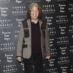 José Mercé en los Premios Pata Negra 2013