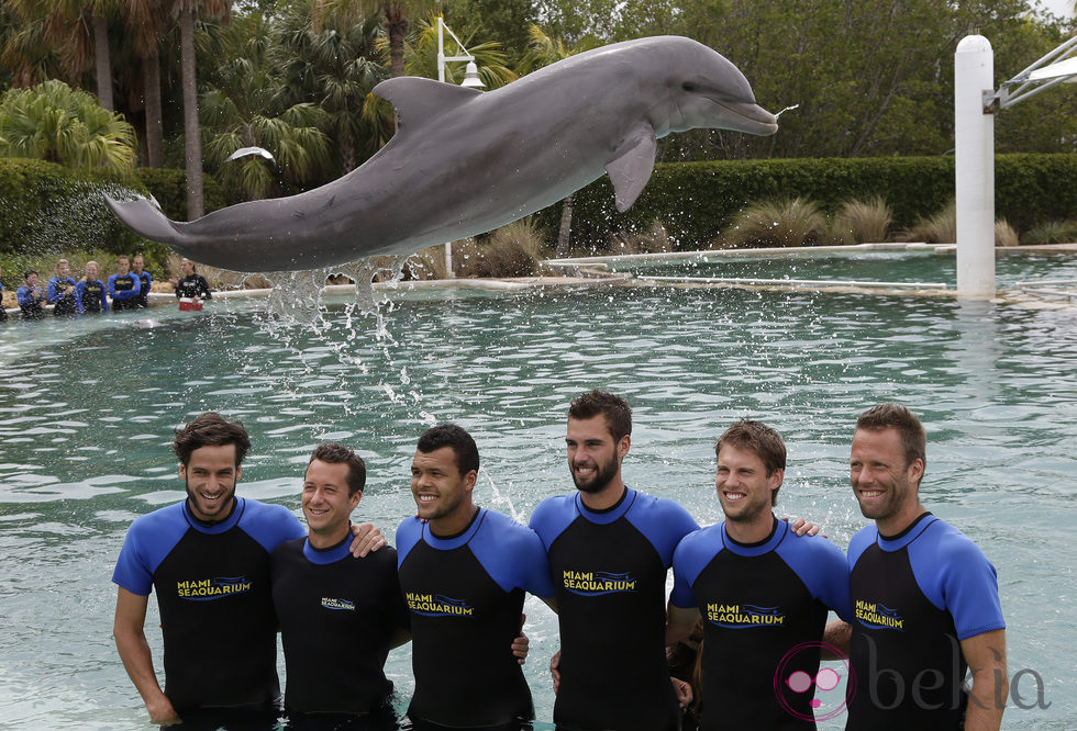 Feliciano López, Philipp Kohlschreiber, Jo-Wilfried Tsonga, Benoit Paire, Andrea Seppi, y Robert Lindstedt con los delfines