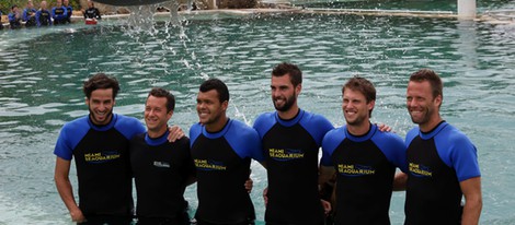 Feliciano López, Philipp Kohlschreiber, Jo-Wilfried Tsonga, Benoit Paire, Andrea Seppi, y Robert Lindstedt con los delfines