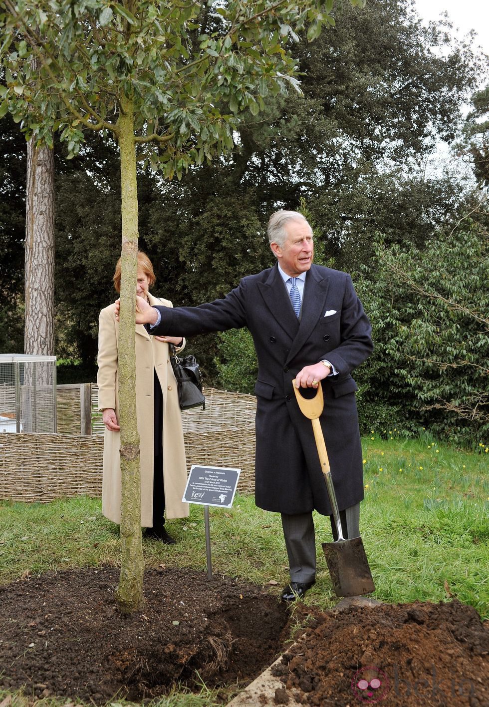 Carlos de Inglaterra planta un árbol en memoria de la Nobel de la Paz Wangari Muta Maathai