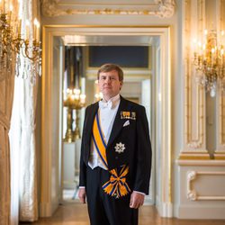 Primer retrato oficial del Rey Guillermo Alejandro de Holanda
