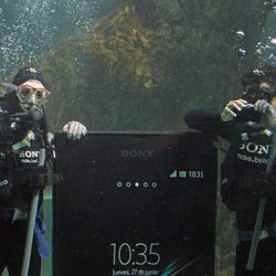 Raquel Sánchez Silva y Maxi Iglesias nadando con tiburones en el zoo de Madrid