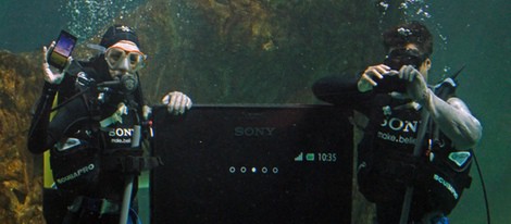 Raquel Sánchez Silva y Maxi Iglesias nadando con tiburones en el zoo de Madrid
