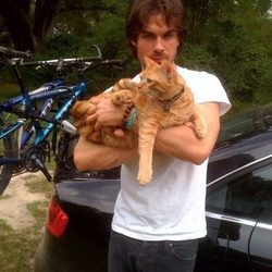 Ian Somerhalder encuentra a su gatito perdido