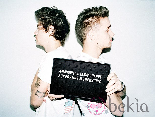 Harry Styles y Liam Payne  en una campaña contra el cáncer juvenil