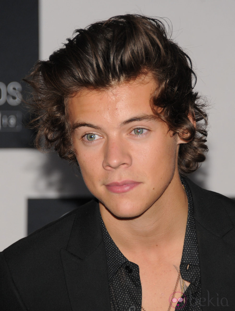Harry Styles en los MTV VMA 2013