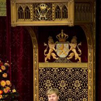 Guillermo Alejandro de Holanda en su primera apertura del Parlamento como Rey