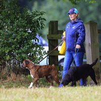 Zara Phillips luce embarazo paseando a los perros