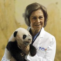 La Reina Sofía sostiene a una cría de panda en el Zoo de Madrid