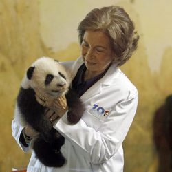 La Reina Sofía con una cría de oso panda en el Zoo de Madrid