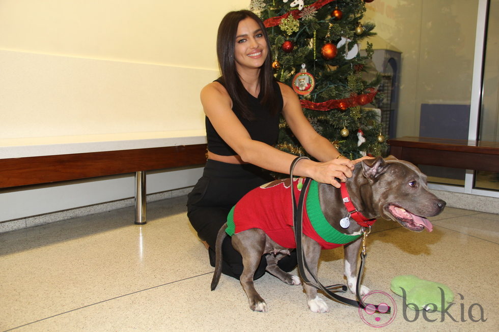 Irina Shayk en un centro de adopción de animales de Nueva York