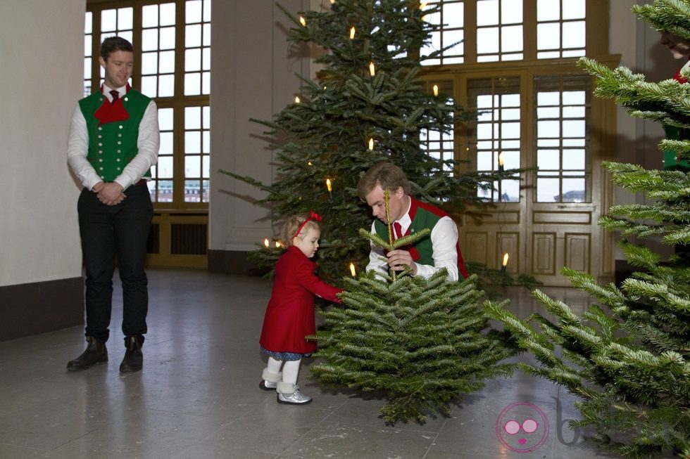 Estela de Suecia recoge un árbol de Navidad