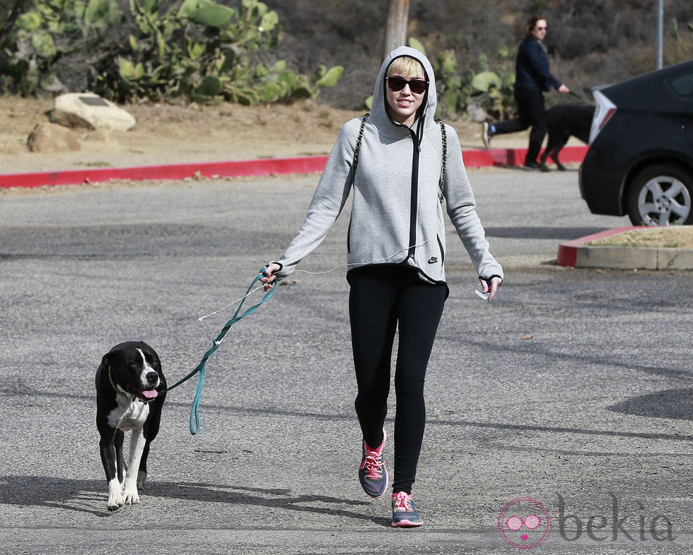 Miley Cyrus pasea junto a su perro