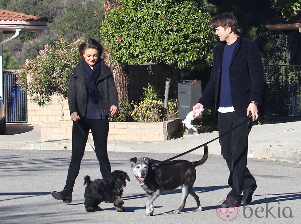 Ashton Kutcher y Mila Kunis paseando a sus perros por Los Angeles
