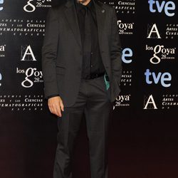 Carlos Bardem en la fiesta de nominados a los premios Goya 2014